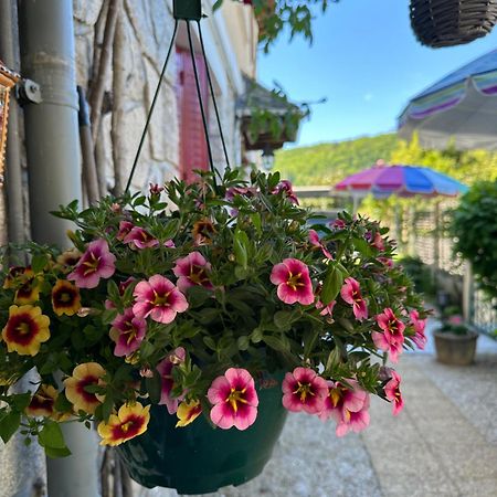 Maison D'Hotes آرْجونتا المظهر الخارجي الصورة